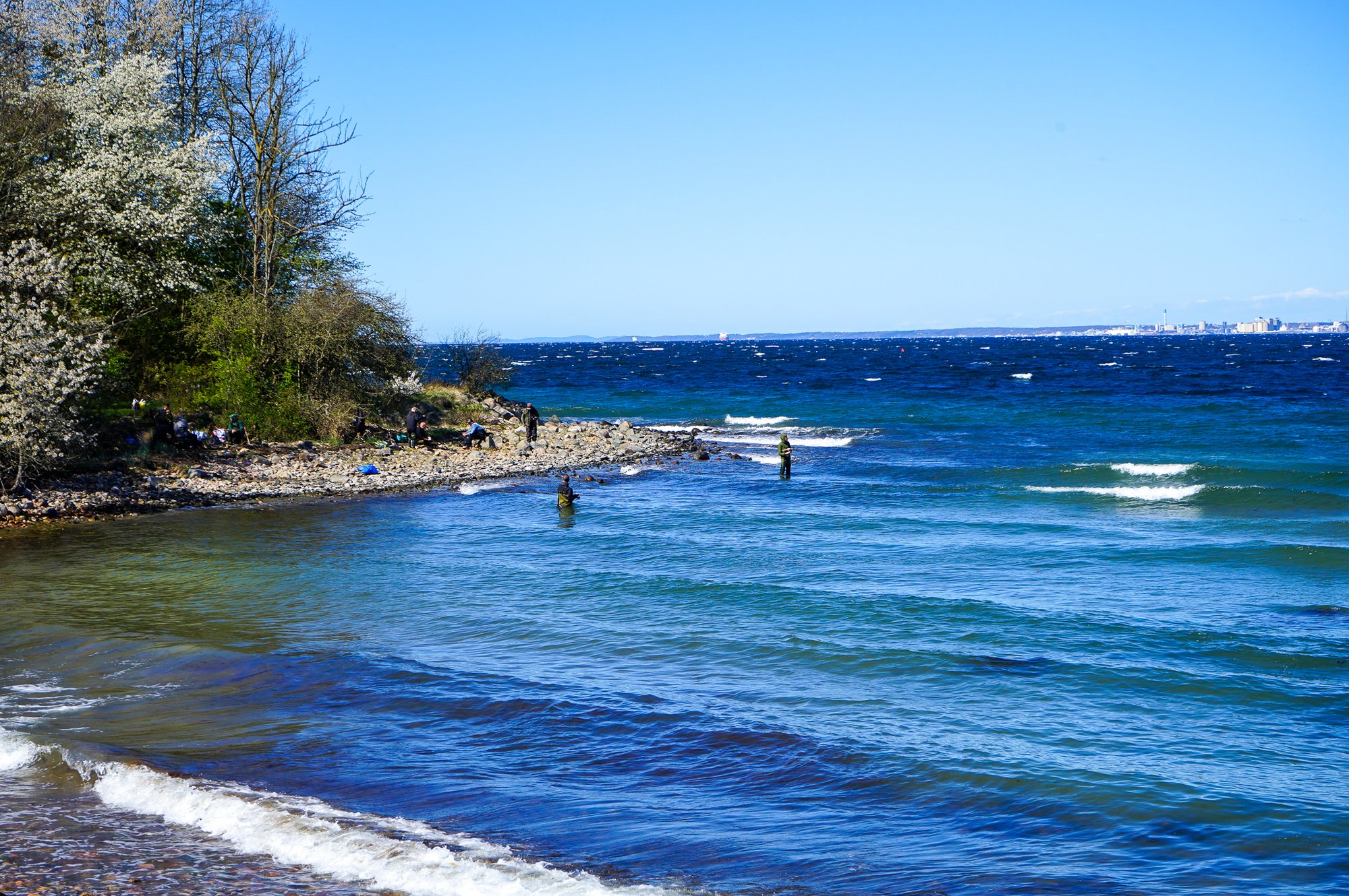 Kustfisket på Ven är grundat de specielt gynsamma förhållanden i sundet bland det bäste som finns i Öresund ocjh i Skåne. Här syns fiskare i havet.